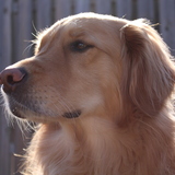 Entry image for Ellen
