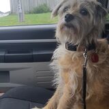 Entry image for Charlie 