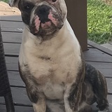 Entry image for Winston