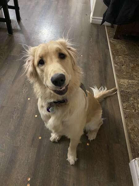 Entry image for Holly. Clicking this image will show a larger photo