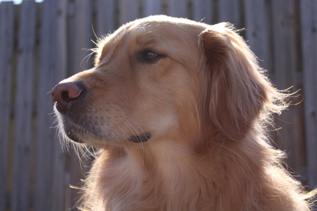 Entry image for Ellen. Clicking this image will show a larger photo