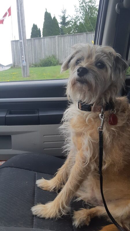 Entry image for Charlie . Clicking this image will show a larger photo