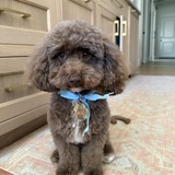 Entry image for Bosley