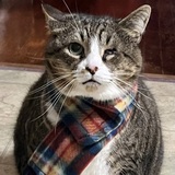 Entry image for Margot