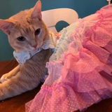 Entry image for Tiggy