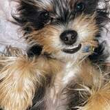 Entry image for Booty