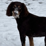 Entry image for Reese Mae