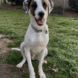 Entry image for Miller