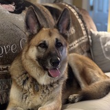 Entry image for Holly