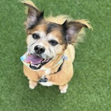 Entry image for Lola