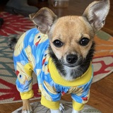 Entry image for Winniepoo