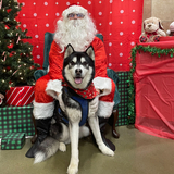 Entry image for Kayo