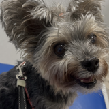 Entry image for Ellie May