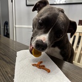 Entry image for Addie