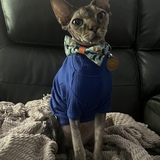 Entry image for Toby