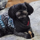 Entry image for MICK