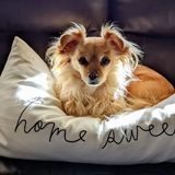 Entry image for Sweetie