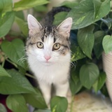 Entry image for Stormy