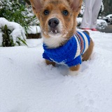 Entry image for Winston 