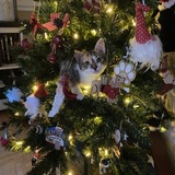 Entry image for Chickie