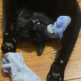 Entry image for Lucy