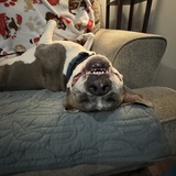 Entry image for Hiro