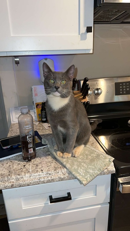 Entry image for Purvis. Clicking this image will show a larger photo