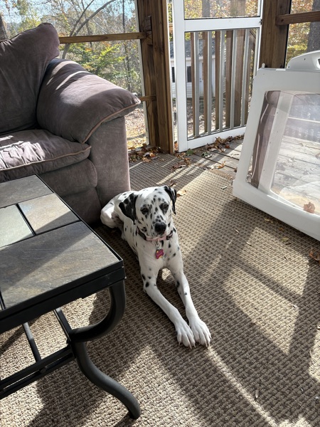 Entry image for Maggie Dunton. Clicking this image will show a larger photo