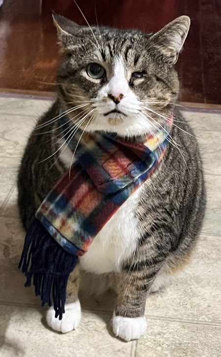 Entry image for Margot. Clicking this image will show a larger photo