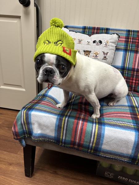 Entry image for Oliver. Clicking this image will show a larger photo