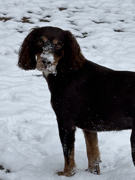 Entry image for Reese Mae. Clicking this image will show a larger photo