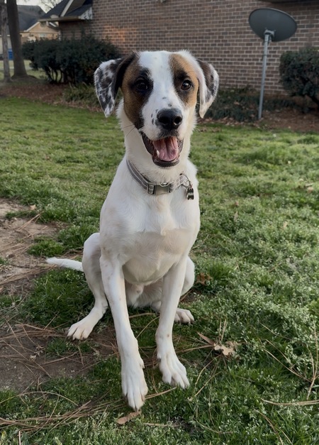 Entry image for Miller. Clicking this image will show a larger photo