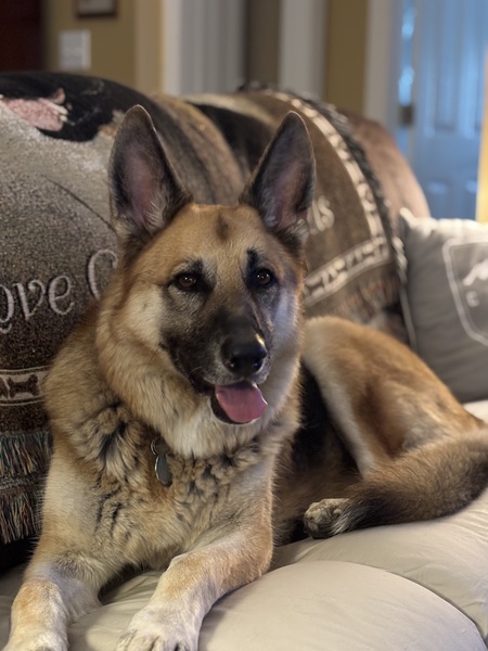 Entry image for Holly. Clicking this image will show a larger photo