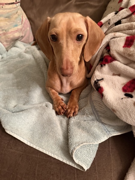 Entry image for sami. Clicking this image will show a larger photo