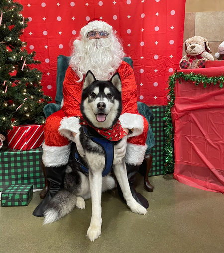 Entry image for Kayo. Clicking this image will show a larger photo