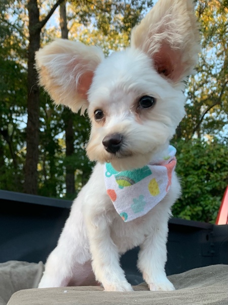 Entry image for Vivian. Clicking this image will show a larger photo