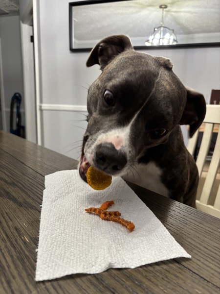 Entry image for Addie. Clicking this image will show a larger photo