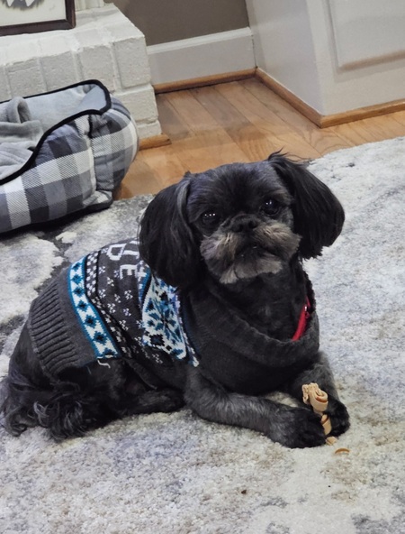 Entry image for MICK. Clicking this image will show a larger photo