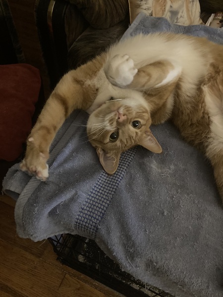 Entry image for Sunshine . Clicking this image will show a larger photo