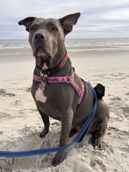 Entry image for Paris . Clicking this image will show a larger photo