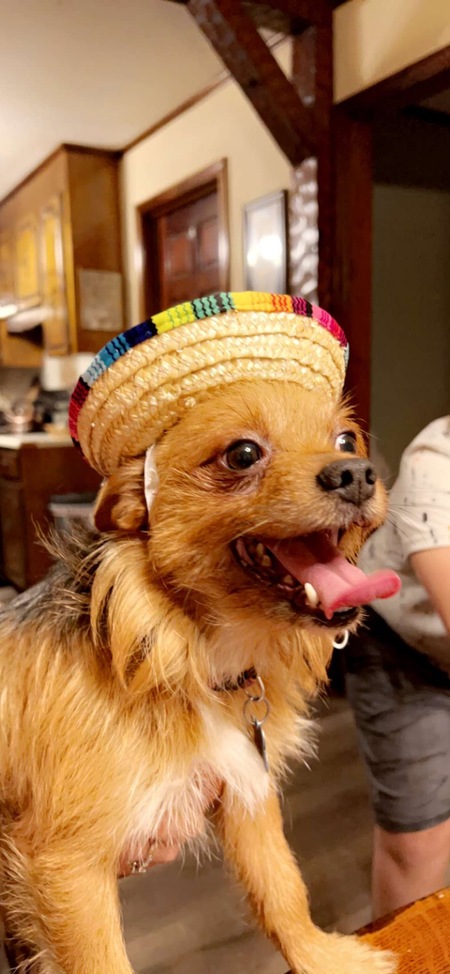 Entry image for Charlie. Clicking this image will show a larger photo