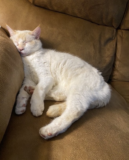 Entry image for Zeke. Clicking this image will show a larger photo