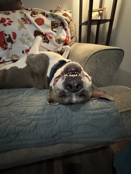 Entry image for Hiro. Clicking this image will show a larger photo