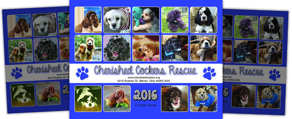 Cherished Cockers Rescue Cherished Cockers 2017 Photo Calendar