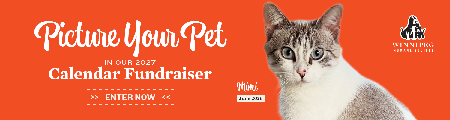 Banner for 2027 Calendar Photo Fundraiser