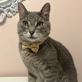 Entry image for Booker 