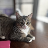 Entry image for Turbo formally known as Day