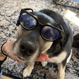 Entry image for Maggie