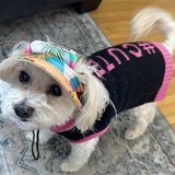 Entry image for Bailey 