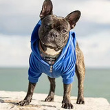 Entry image for Pepe